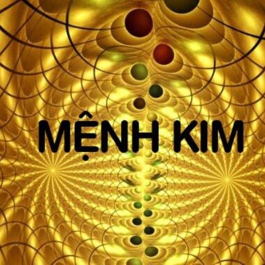 Tang Đố Mộc: Tính Cách, Sự Nghiệp – Màu, Đá Quý Hợp Mệnh