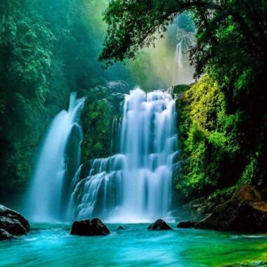 Tang Đố Mộc: Tính Cách, Sự Nghiệp – Màu, Đá Quý Hợp Mệnh