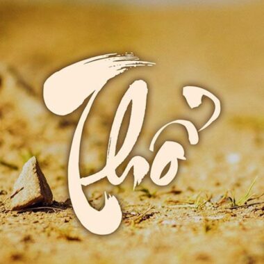 Tang Đố Mộc: Tính Cách, Sự Nghiệp – Màu, Đá Quý Hợp Mệnh