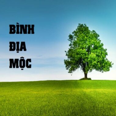 Hiểu Về Mệnh Bình Địa Mộc – Chọn Trang Sức Đá Quý Phù Hợp