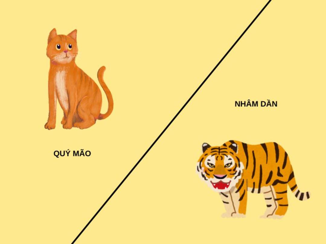 Người Quý Mão và Nhâm Dần thuộc mệnh Kim Bạch Kim