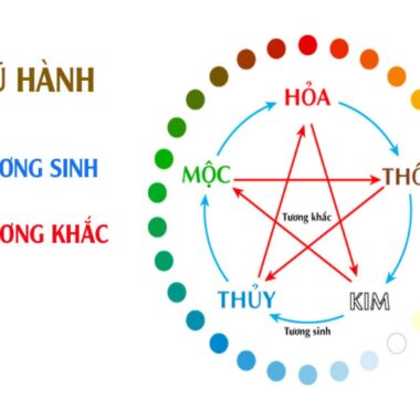 Tang Đố Mộc: Tính Cách, Sự Nghiệp – Màu, Đá Quý Hợp Mệnh