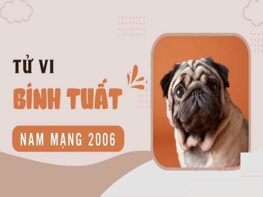 Người Bính Tuất cần phải cố gắng nhiều hơn trong học tập