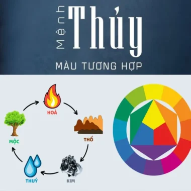 Mệnh Thủy Hợp Màu Gì? Hướng Dẫn Chọn Màu Sắc Phong Thủy