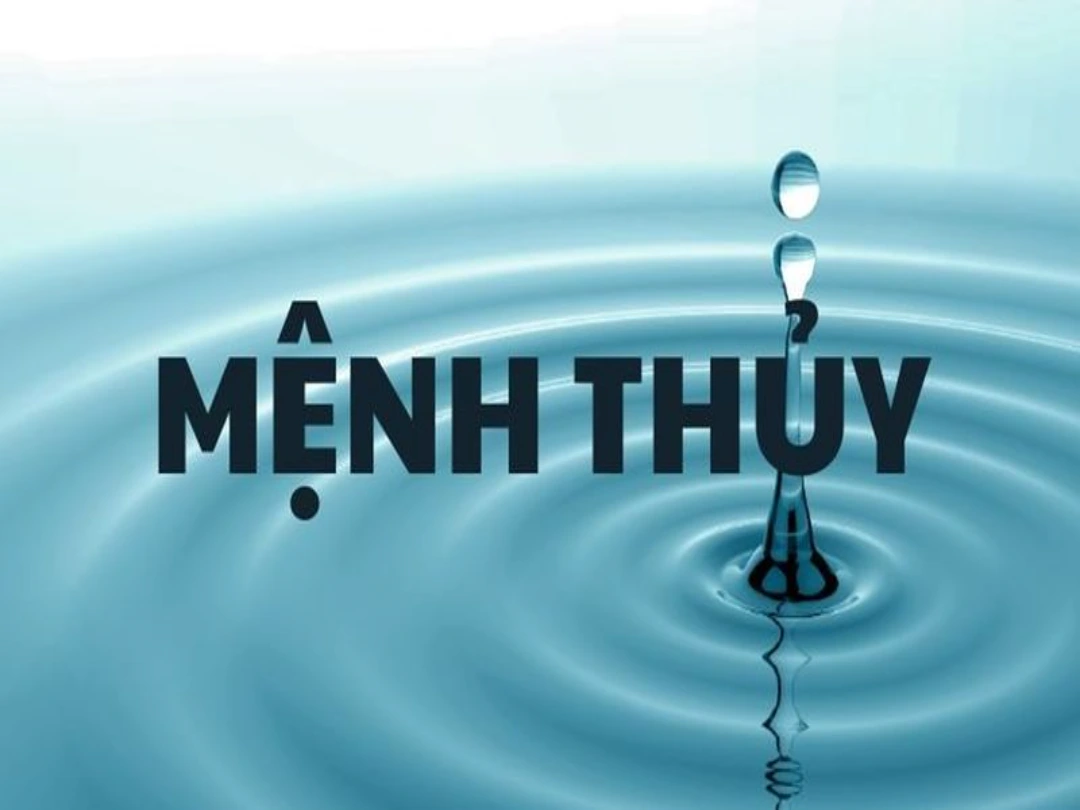 Hiểu rõ mệnh Thủy hợp số nào và cách ứng dụng trong cuộc sống