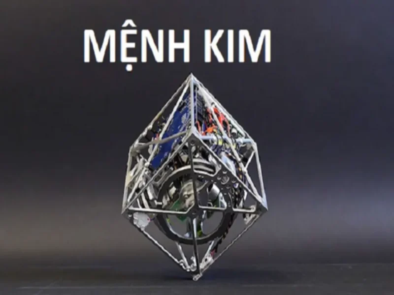 Người mệnh Kim hãy tạo ra một hệ sinh thái năng lượng