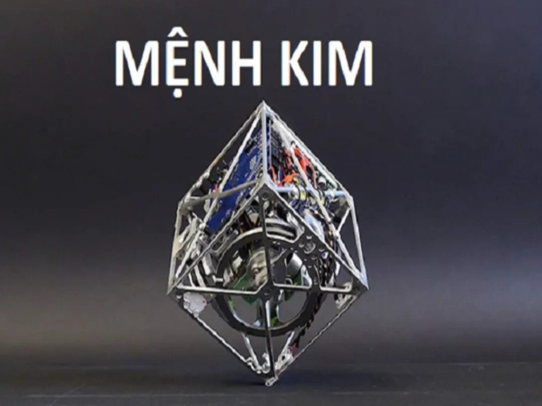 Người mệnh Kim hãy tạo ra một hệ sinh thái năng lượng