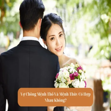 Chồng Mệnh Thổ Vợ Mệnh Thủy Có Hợp Nhau Không? Giải Đáp