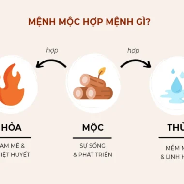 Mệnh Mộc Hợp Mệnh Gì Theo Quy Luật Tương Sinh Tương Khắc