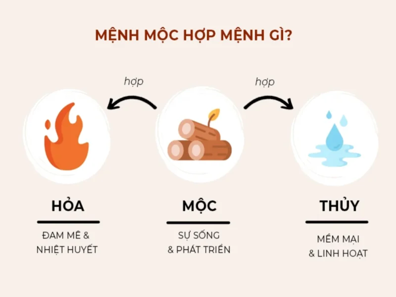 Mệnh Mộc hợp mệnh gì, chính là mệnh Thủy