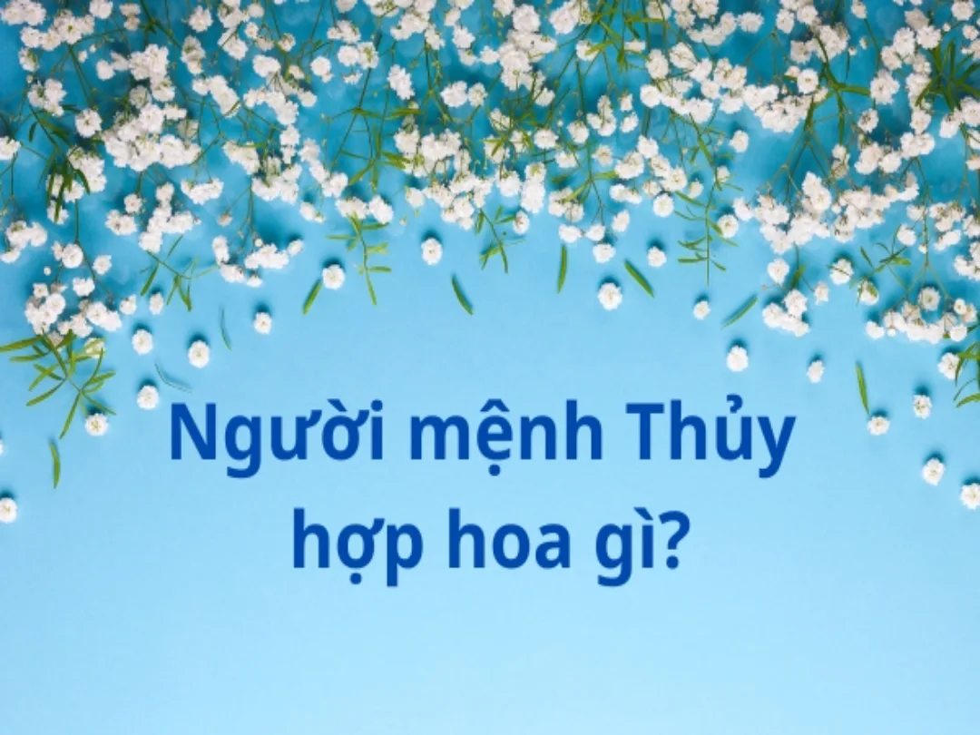 Người mệnh Thủy hợp với hoa màu gì bạn có biết không?