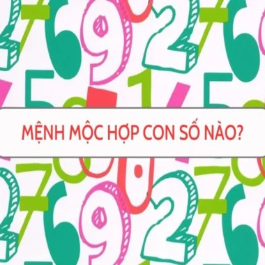 Mệnh Mộc Hợp Số Nào? Chọn Sim Số, Biển Số Phong Thủy