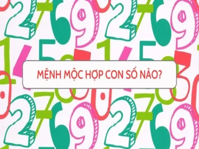 Mệnh Mộc hợp số nào căn cứ trên mối quan hệ tương sinh tương khắc giữa các yếu tố