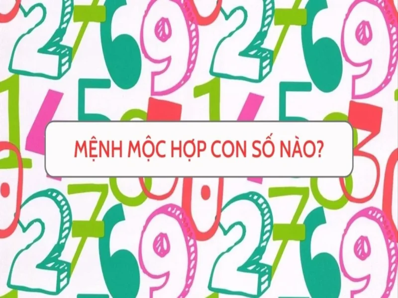 Mệnh Mộc hợp số nào căn cứ trên mối quan hệ tương sinh tương khắc giữa các yếu tố