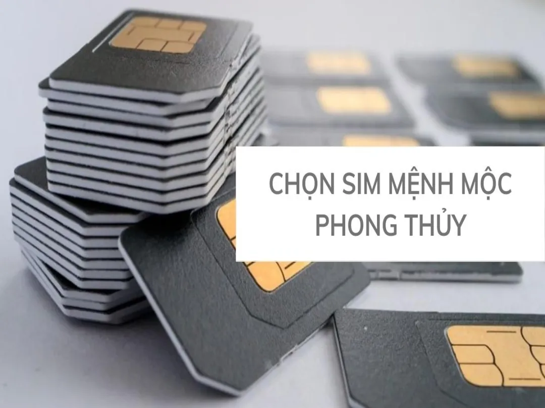 Sim lý tưởng cho người mệnh Mộc thường chứa nhiều số 1, 3, 4, 6